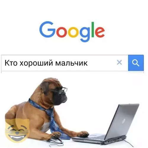 Смешная картинка №334497 #приколы #картинки #мемы ?