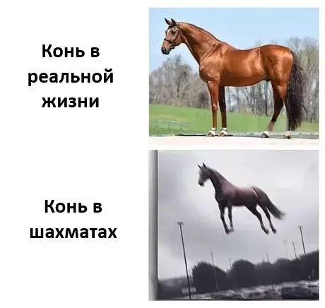 Смешная картинка №753864