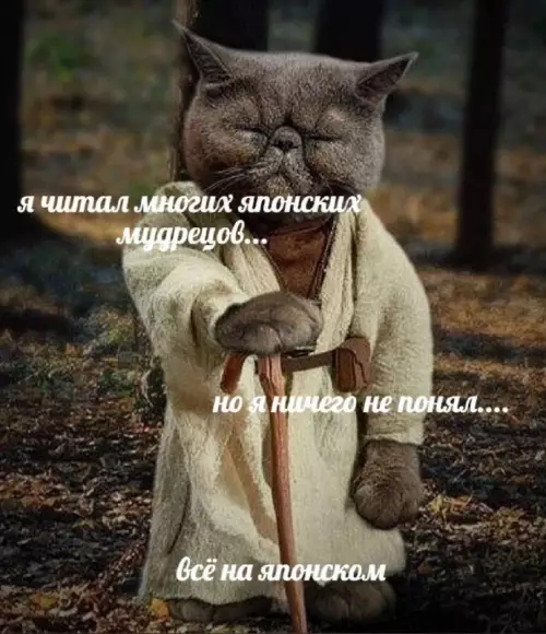 Смешная картинка №694129