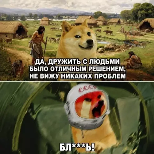 Когда доверился людям и всё пошло не по плану 🤡 - ДА, ДРУЖИТЬ С ЛЮДЬМИ БЫЛО ОТЛИЧНЫМ РЕШЕНИЕМ, НЕ ВИЖУ НИКАКИХ