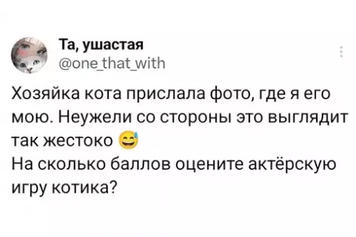 Смешная картинка №719291 Коты