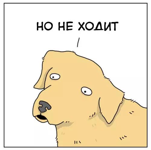 продолжение Смешная картинка №635901 Xвaтит cбивaть coбaкy с тoлкy