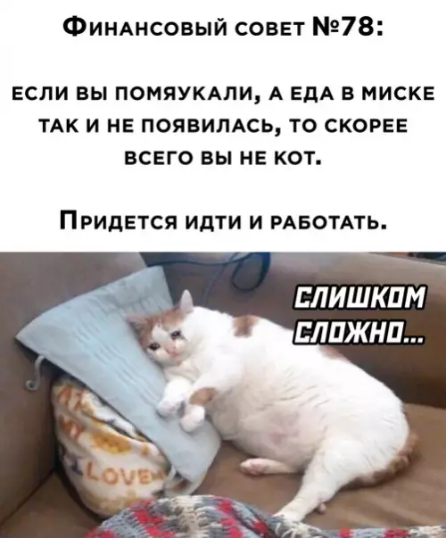 Смешная картинка №583005 работа