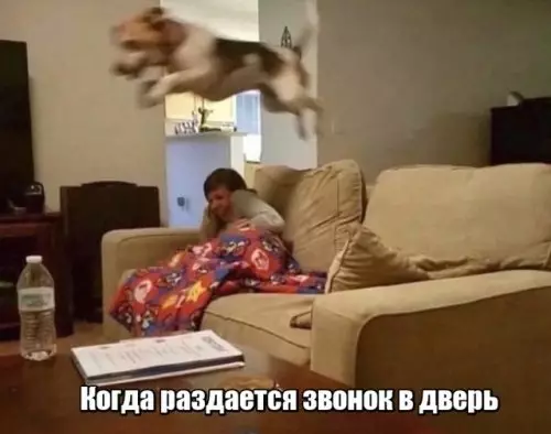 Смешная картинка №311841 Метеор?