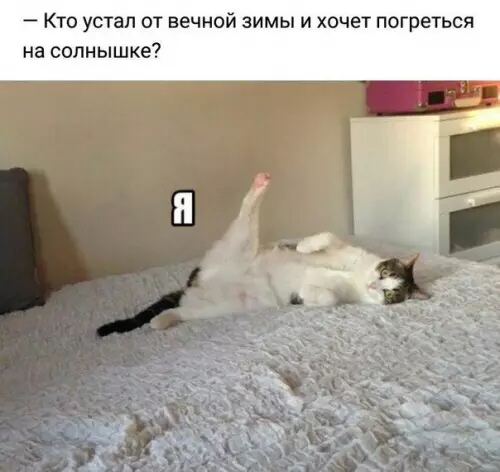 Смешная картинка №335929