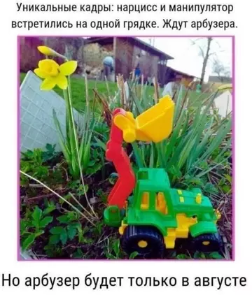 Смешная картинка №764047