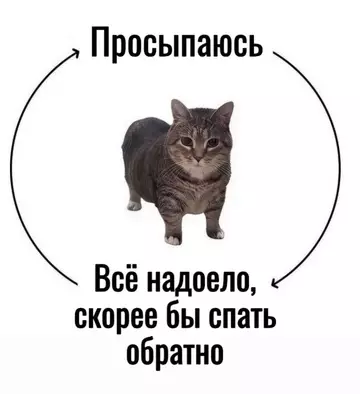 Смешная картинка №746208