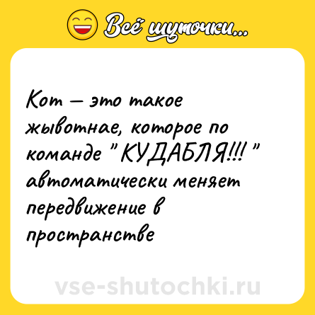 Шутка: Кот — это такое жывотнае, которое по команде 