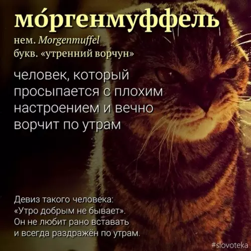 Смешная картинка №530962 Тепepь вы знaeте, кaк мeня нaзывать.