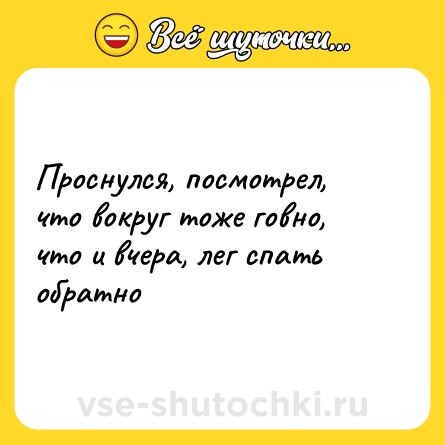 Шутка: Проснулся, посмотрел, что вокруг тоже говно, что и вчера, лег спать обратно