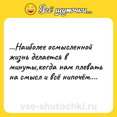 Шутка: ...Наиболее осмысленной жизнь делается в минуты,когда нам плевать на смысл и всё нипочём....
