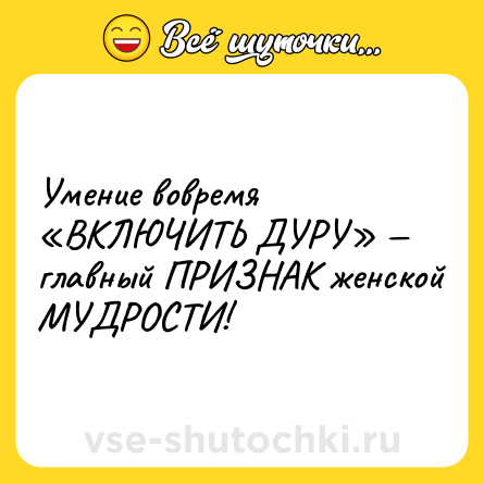 Шутка: Умение вовремя «ВКЛЮЧИТЬ ДУРУ» — главный ПРИЗНАК женской МУДРОСТИ!