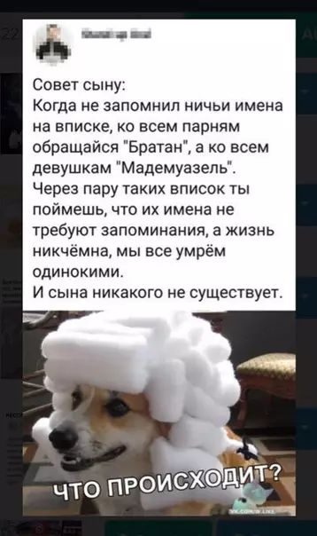 Смешная картинка №338586