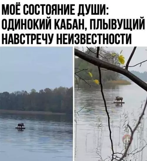 Смешная картинка №538996 Пусть мама услышит, пусть мама придет...