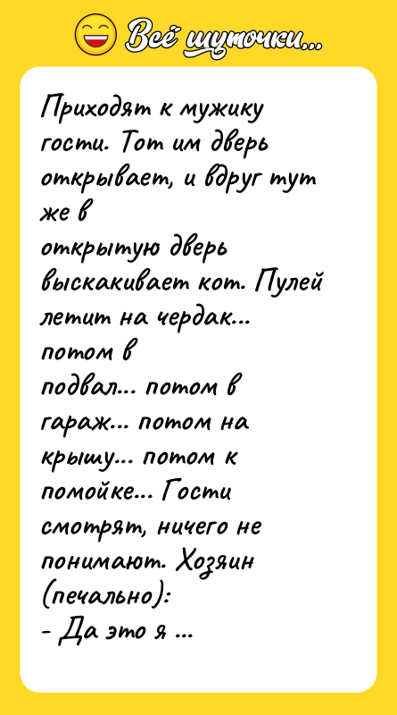 Приходят к мужику гости. Тот им дверь открывает, и вдруг
