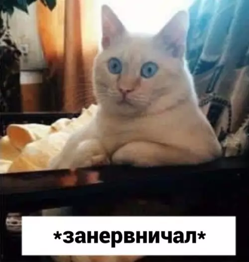 продолжение Смешная картинка №606949 Слишком напрягающий диалог)