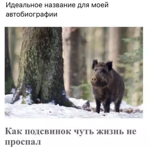 Смешная картинка №751101