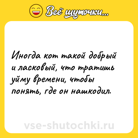 Шутка: Иногда кот такой добрый и ласковый, что тратишь уйму времени, чтобы понять, где он нашкодил.