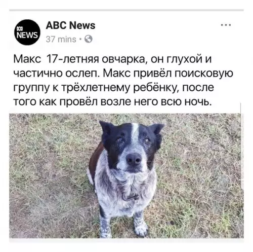 Смешная картинка №377328