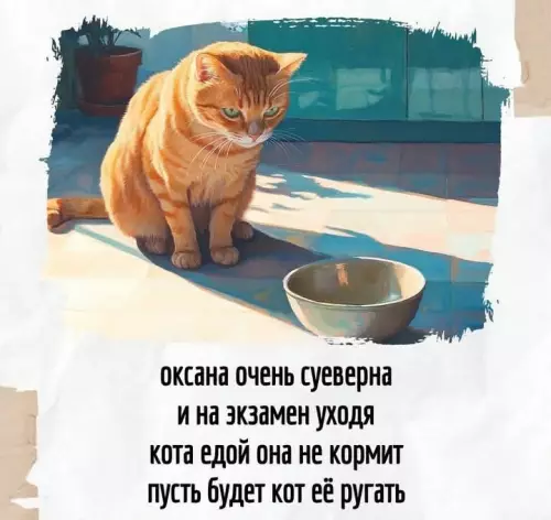 Смешная картинка №770093