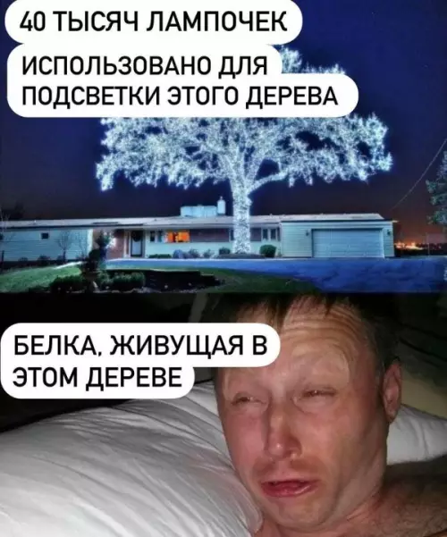 Смешная картинка №601395