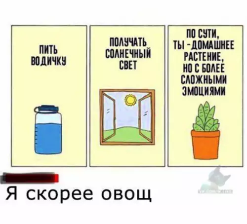 Смешная картинка №317748