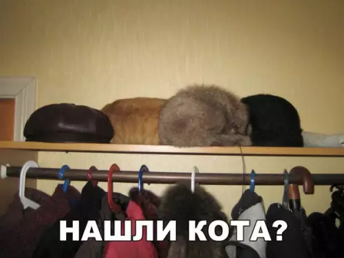 Смешная картинка №255382