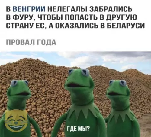 Смешная картинка №332320 #приколы #картинки #мемы ?