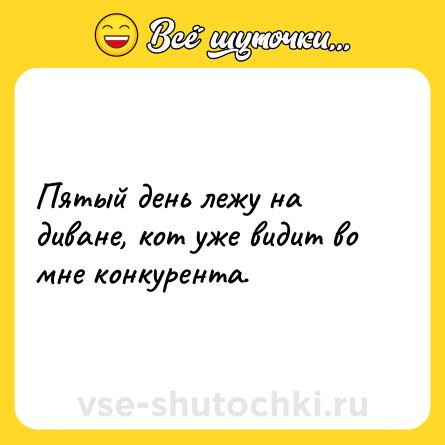Шутка: Пятый день лежу на диване, кот уже видит во мне конкурента.