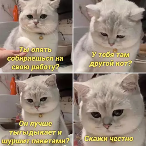 Смешная картинка №660614