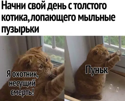 Смешная картинка №282741