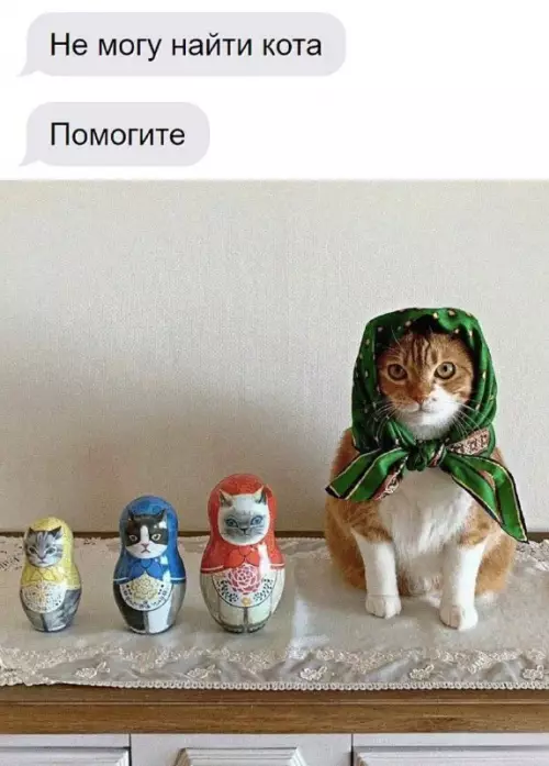 Смешная картинка №732114 Где же он коты