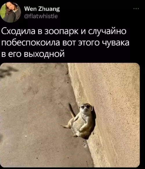 Смешная картинка №683392