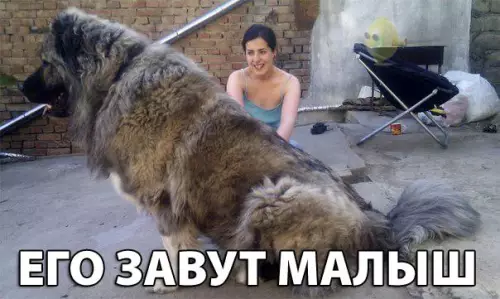 Смешная картинка №213389