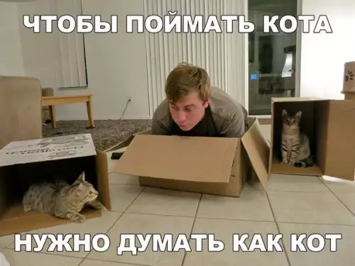 Смешная картинка №243711 коты