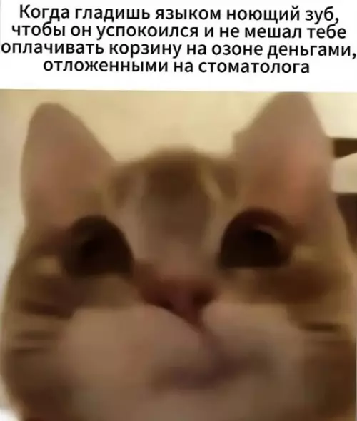 Смешная картинка №751320