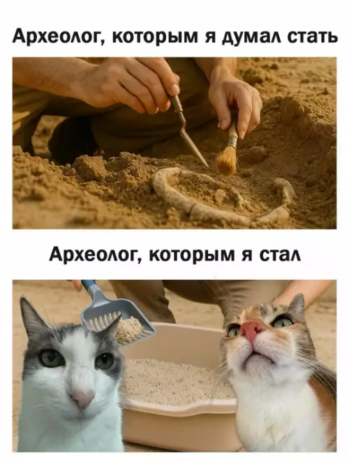 Смешная картинка №790526