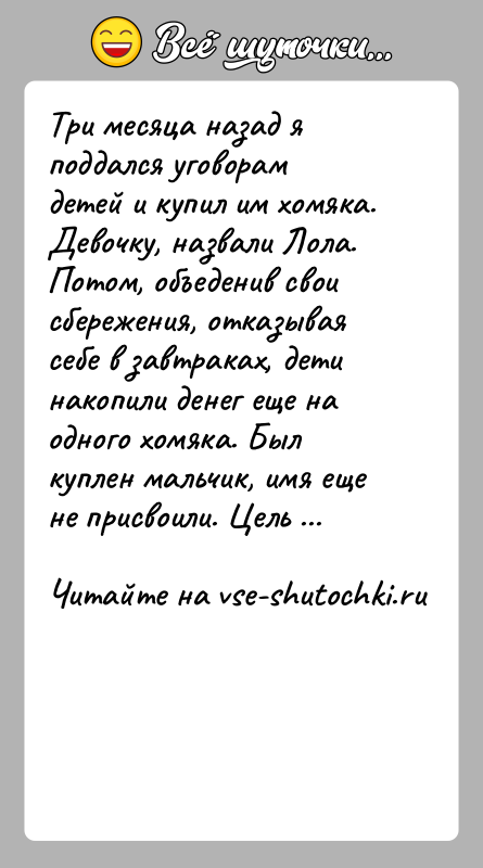 История: Три месяца назад я поддался уговорам детей и купил им хомяка. Девочку, назвали Лола. Потом, объеденив свои сбережения, отказывая себе