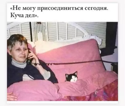 Смешная картинка №663662 Мои планы 