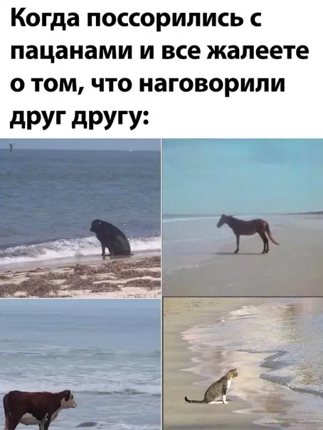Смешная картинка №496417