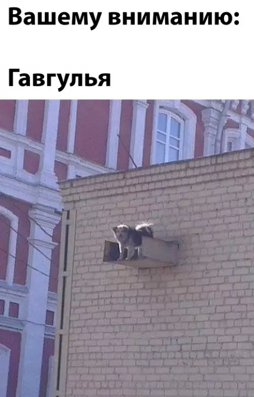 Смешная картинка №663928