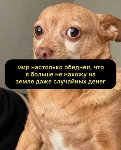 Где мои деньги?! 💸👀 - мир настолько обеднел, что я больше не нахожу на земле