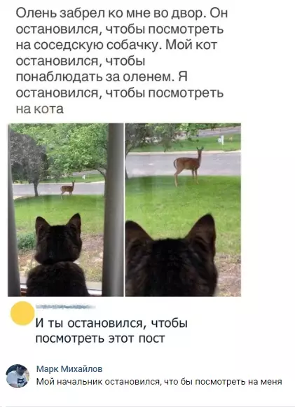 Смешная картинка №298237