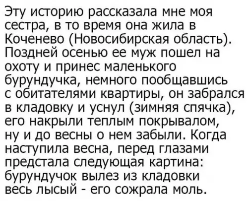 Смешная картинка №568102 Лучшее за сегодня
