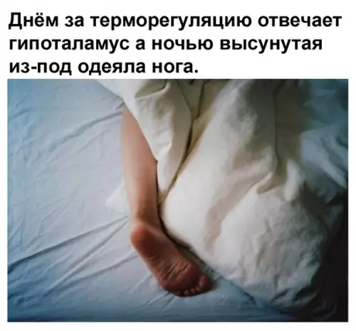 Смешная картинка №495766 Минутка познавательной информации