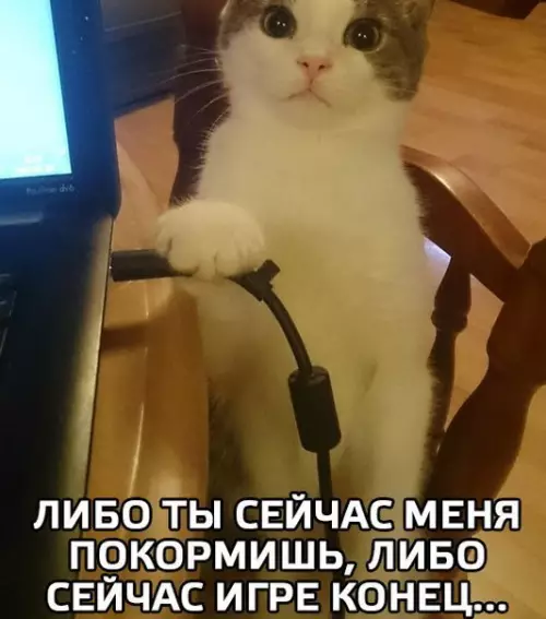 Смешная картинка №184807