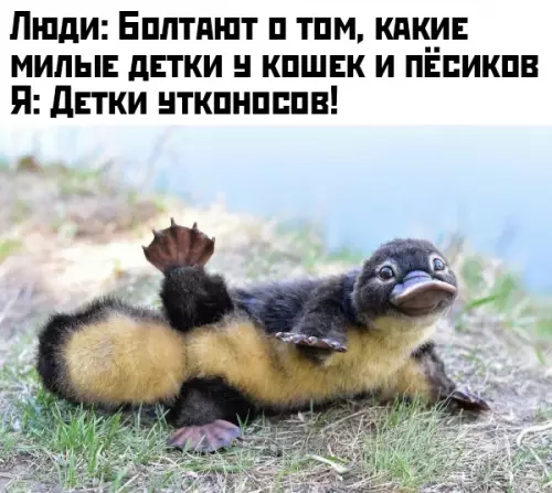 Смешная картинка №429800