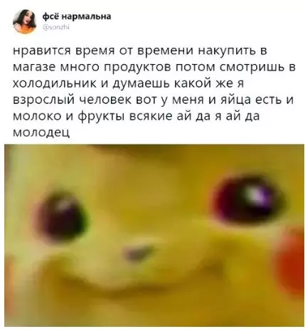 Смешная картинка №383720 Кoгда ты взpослый.
