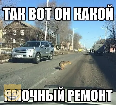 Смешная картинка №337761 #приколы #картинки #мемы ?