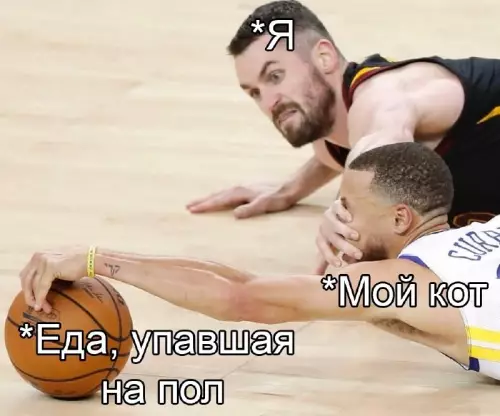 Типичный вечер с котом 🐈‍⬛😂 - Я Мой кот Еда, упавшая на пол